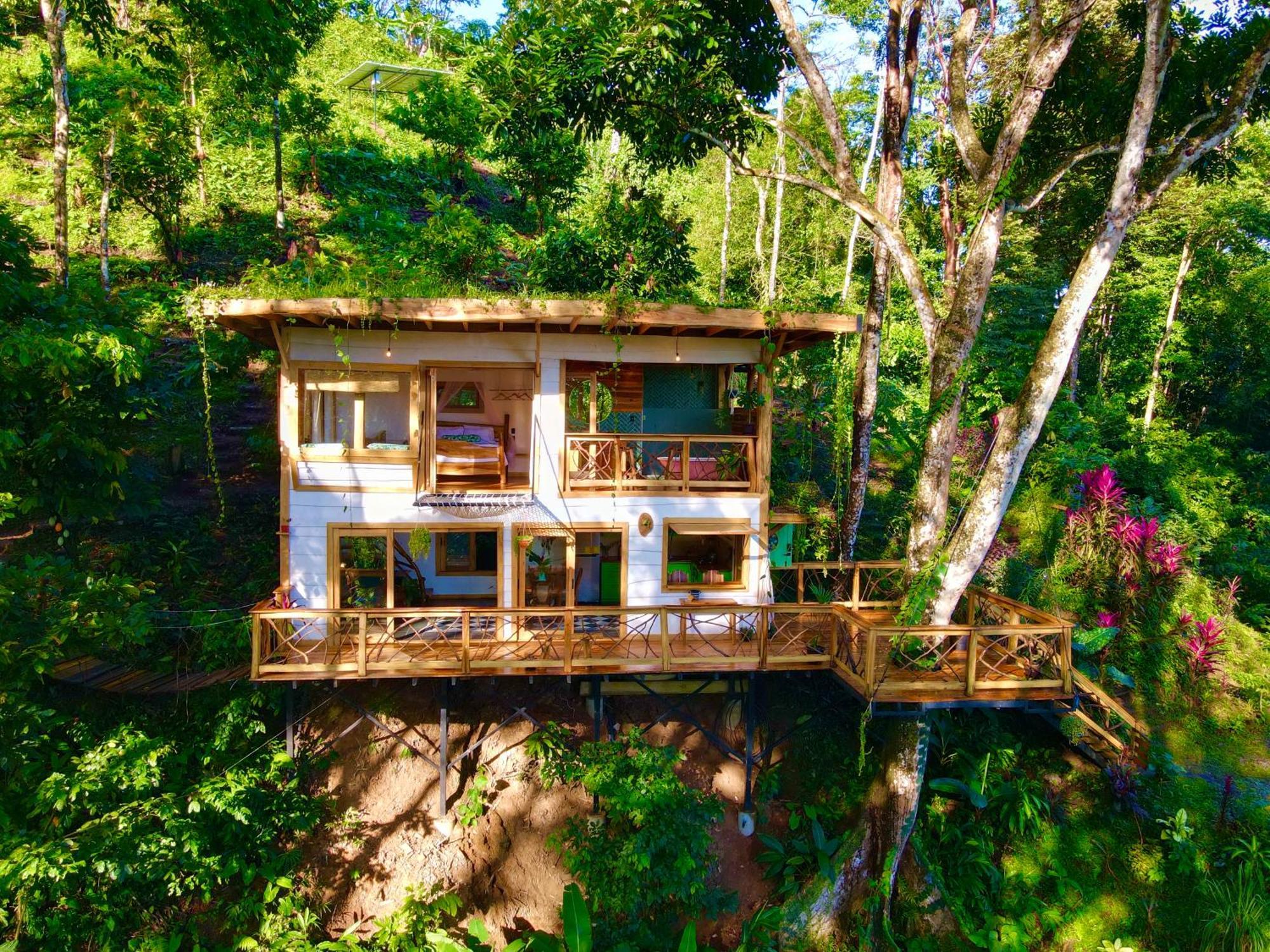 Вилла Jungle Spirit Treehouse Кауита Экстерьер фото