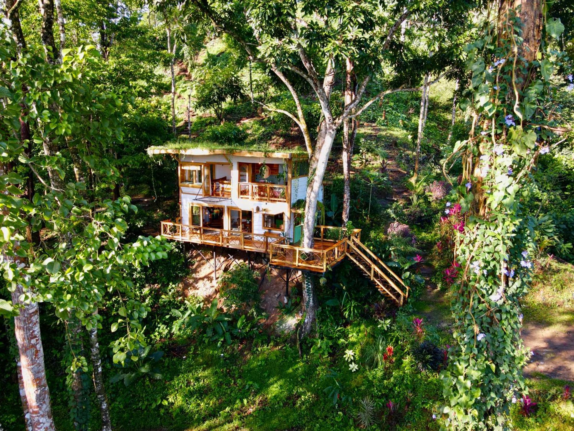 Вилла Jungle Spirit Treehouse Кауита Экстерьер фото