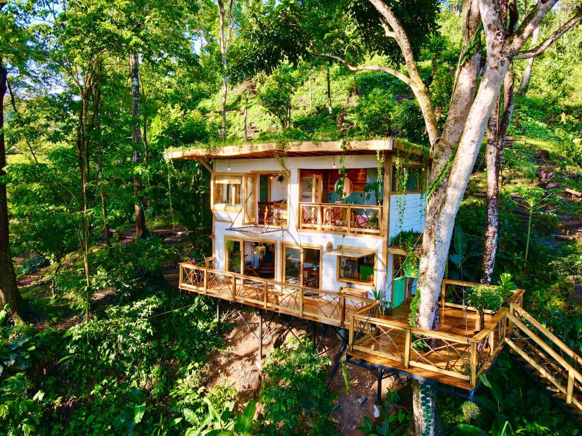 Вилла Jungle Spirit Treehouse Кауита Экстерьер фото