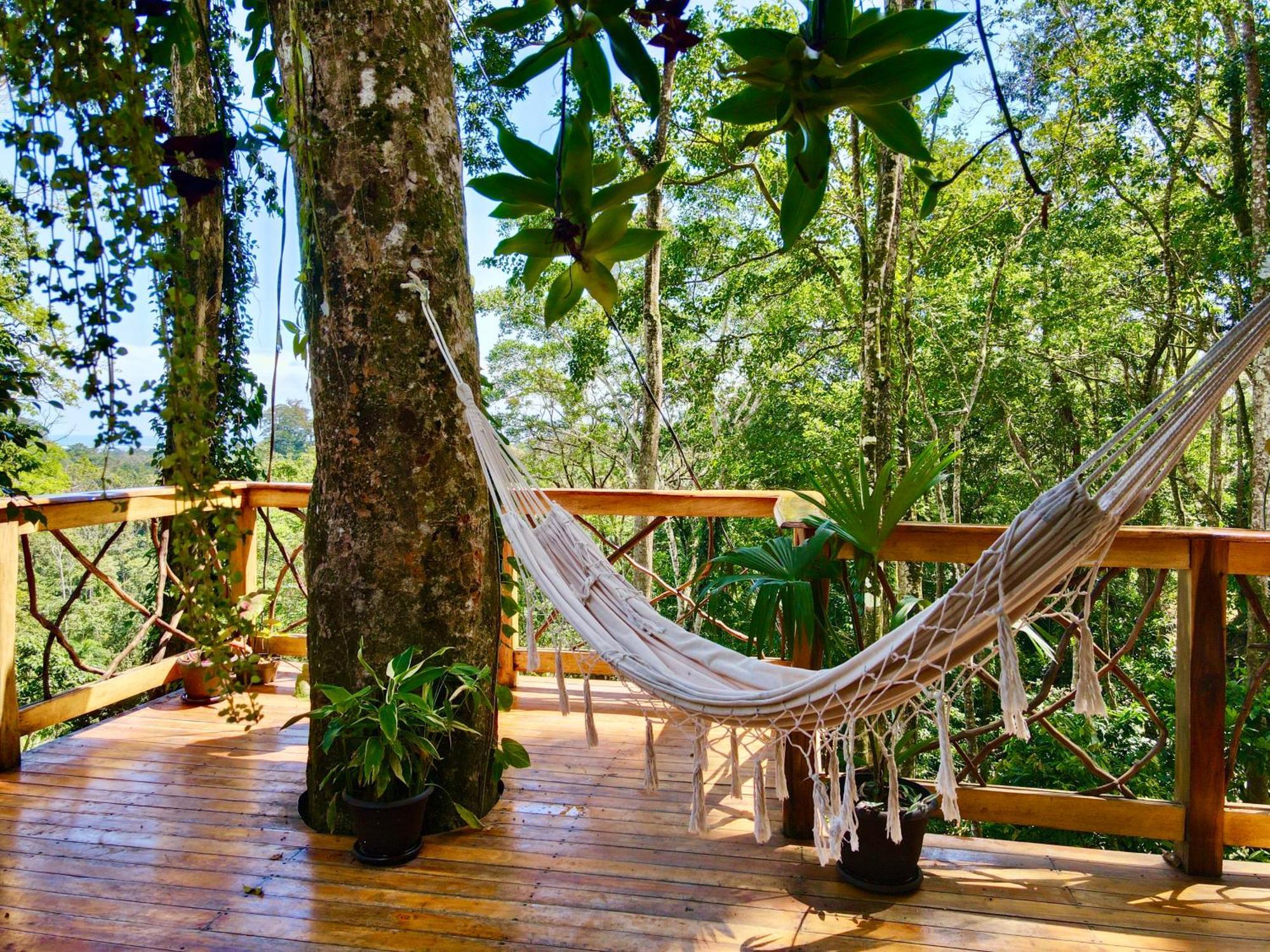 Вилла Jungle Spirit Treehouse Кауита Экстерьер фото