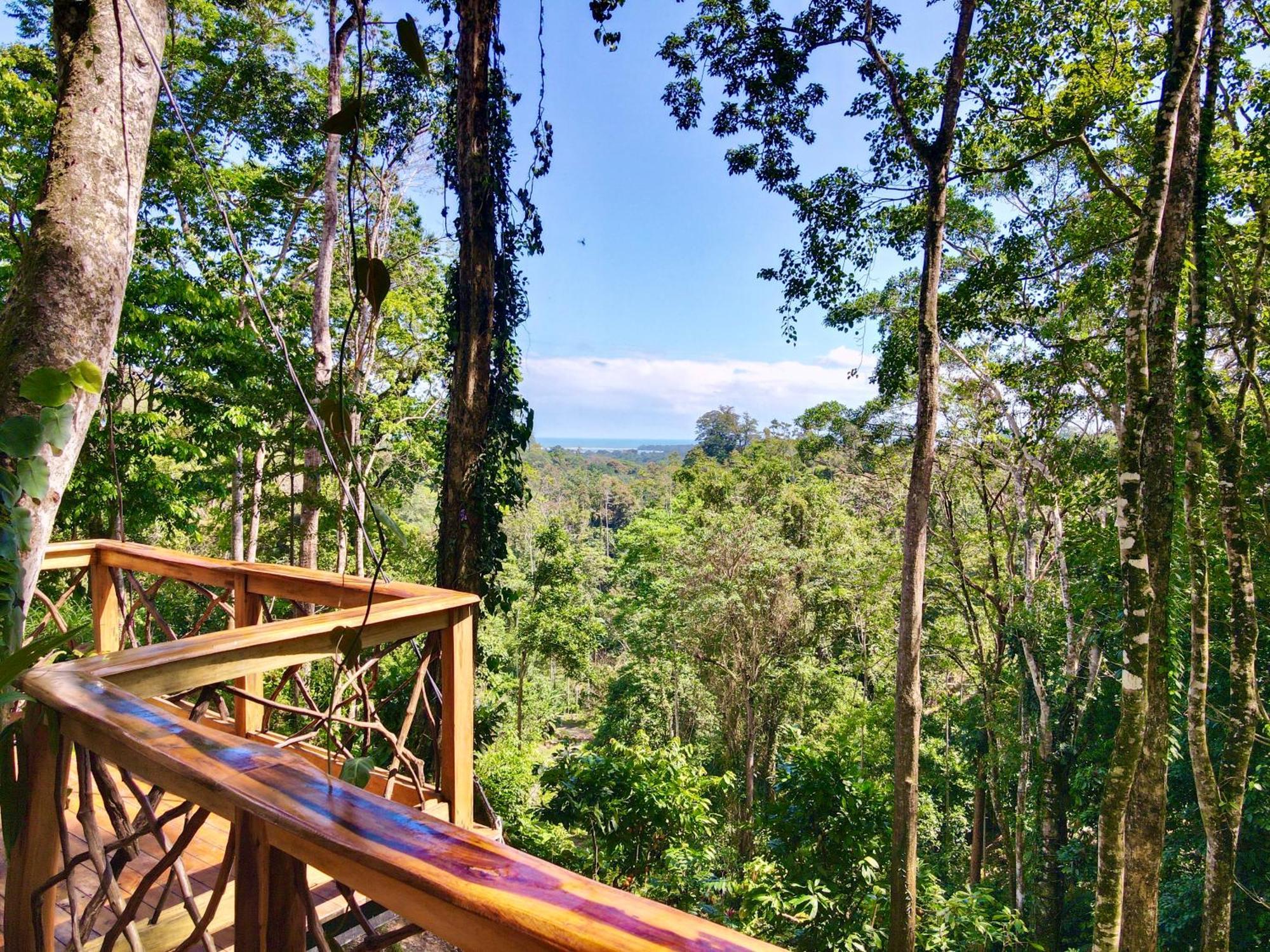 Вилла Jungle Spirit Treehouse Кауита Экстерьер фото