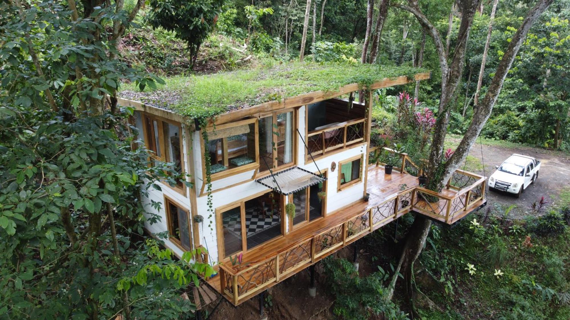 Вилла Jungle Spirit Treehouse Кауита Экстерьер фото