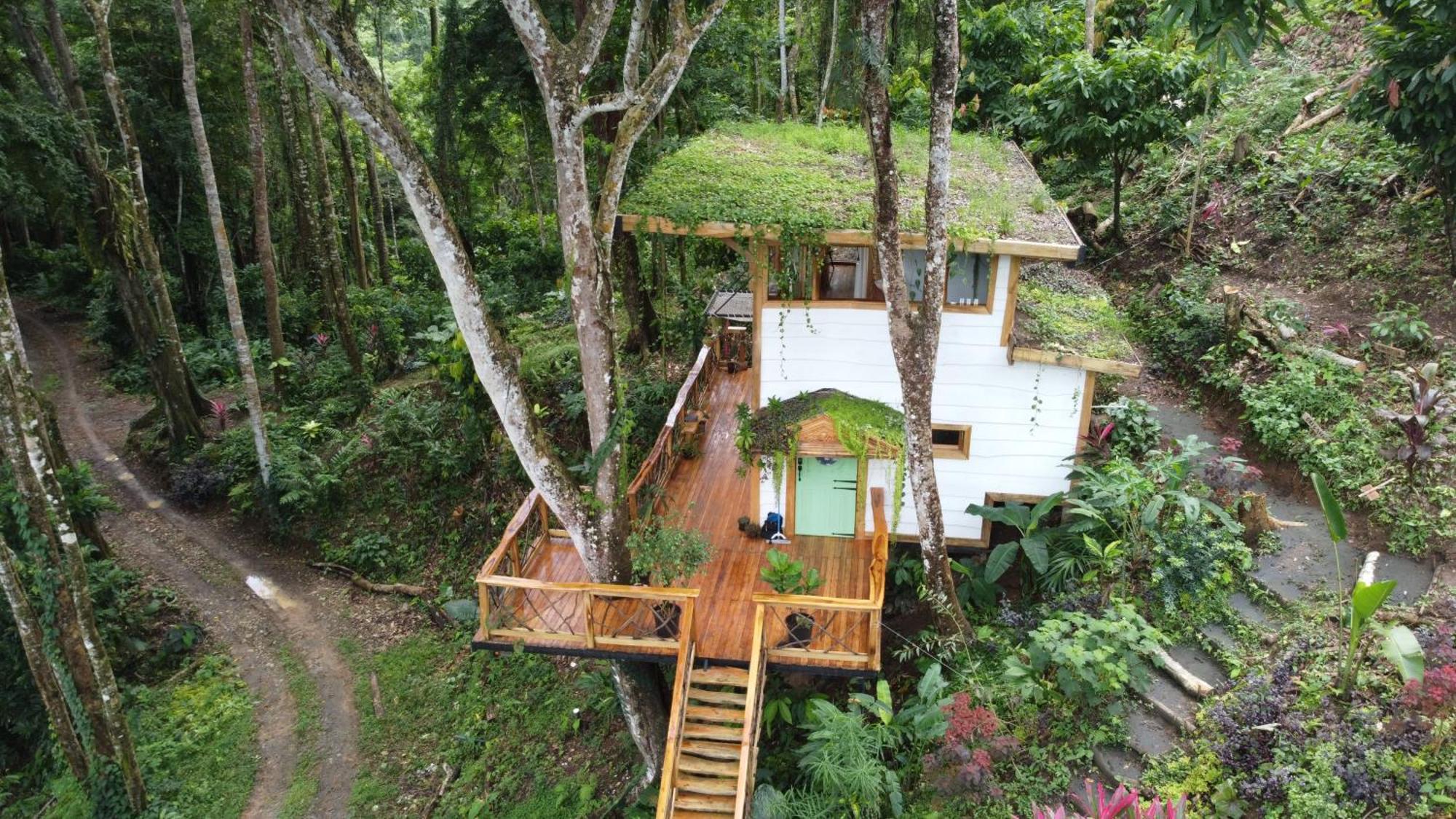 Вилла Jungle Spirit Treehouse Кауита Экстерьер фото