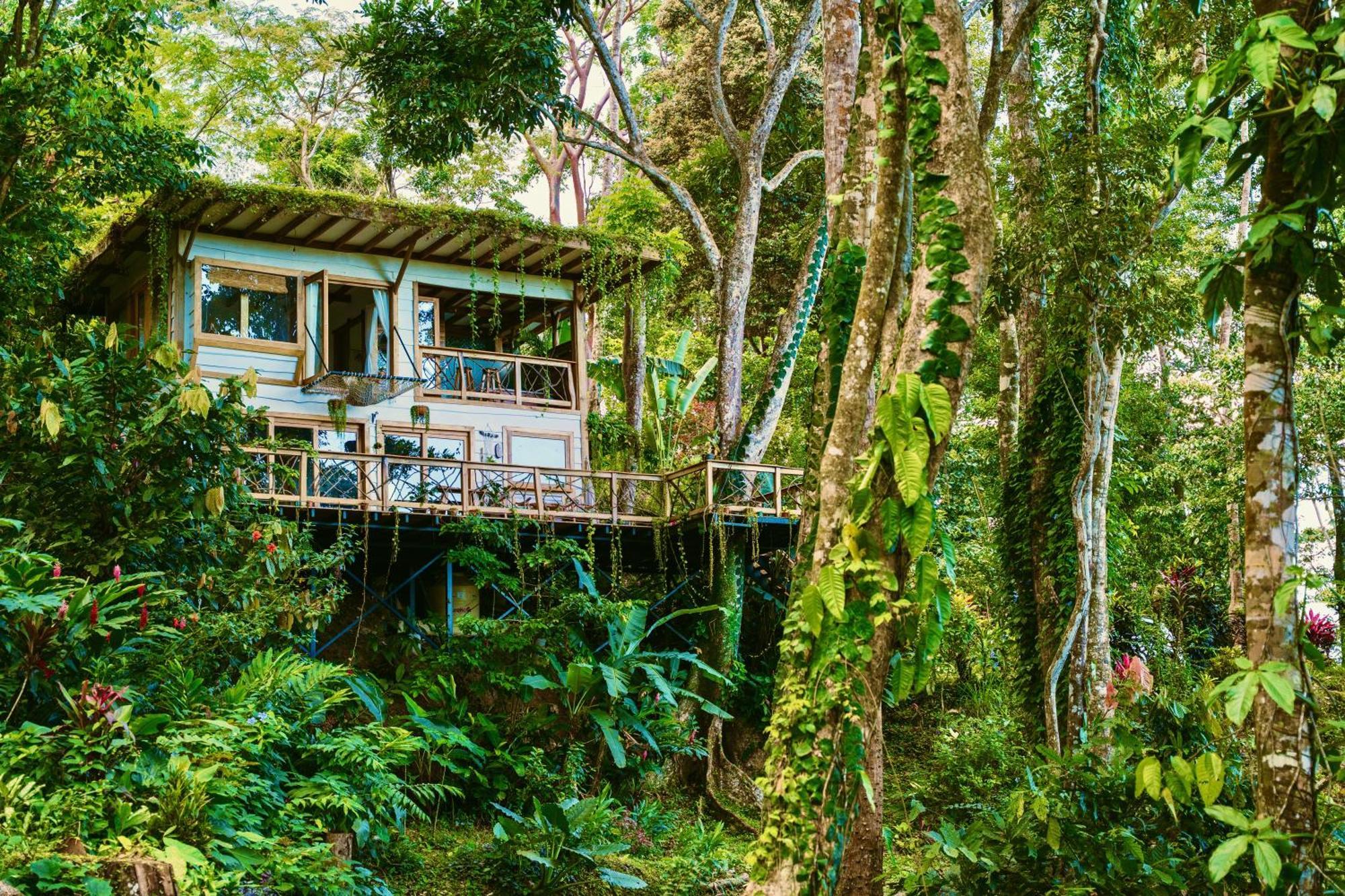 Вилла Jungle Spirit Treehouse Кауита Экстерьер фото
