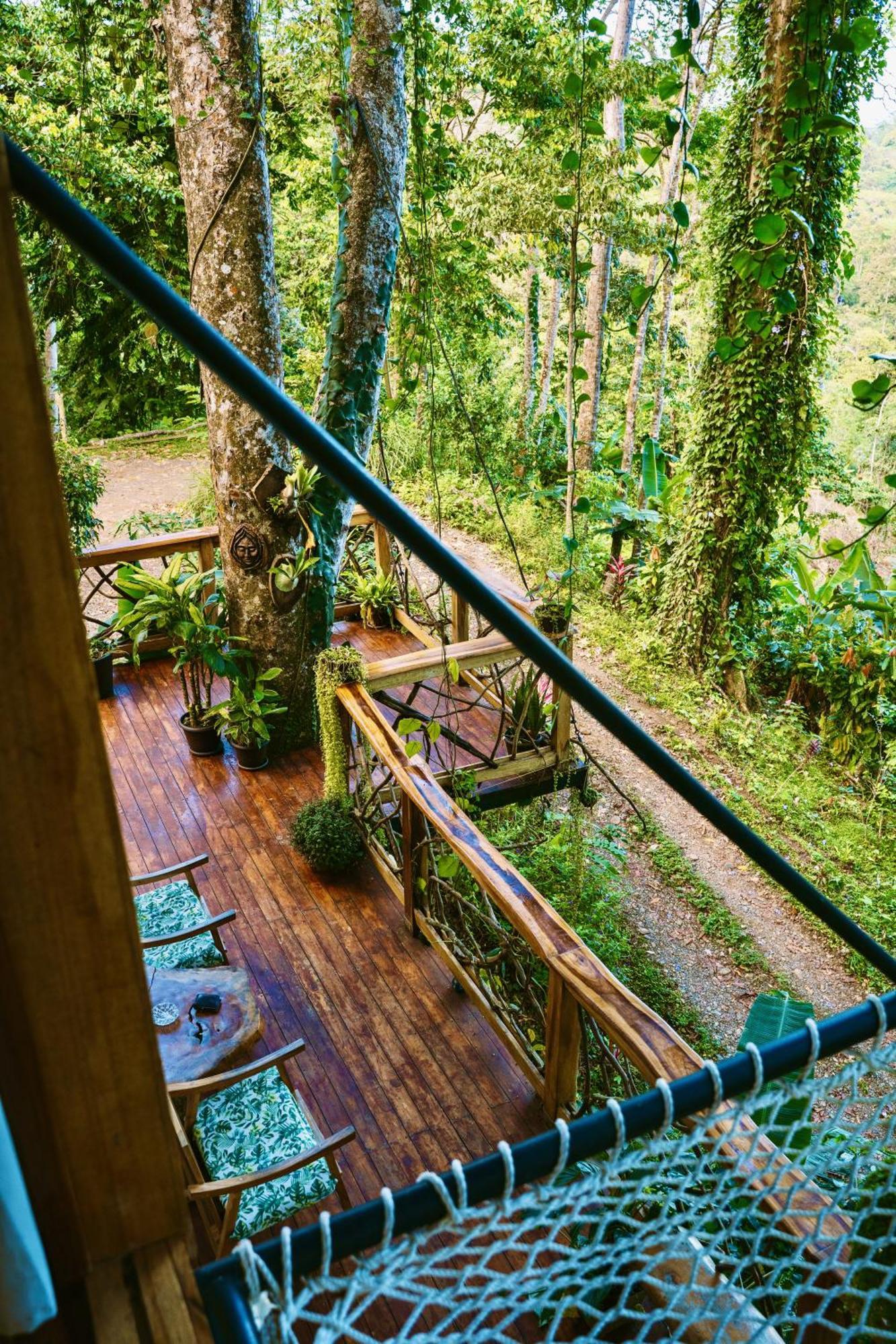 Вилла Jungle Spirit Treehouse Кауита Экстерьер фото