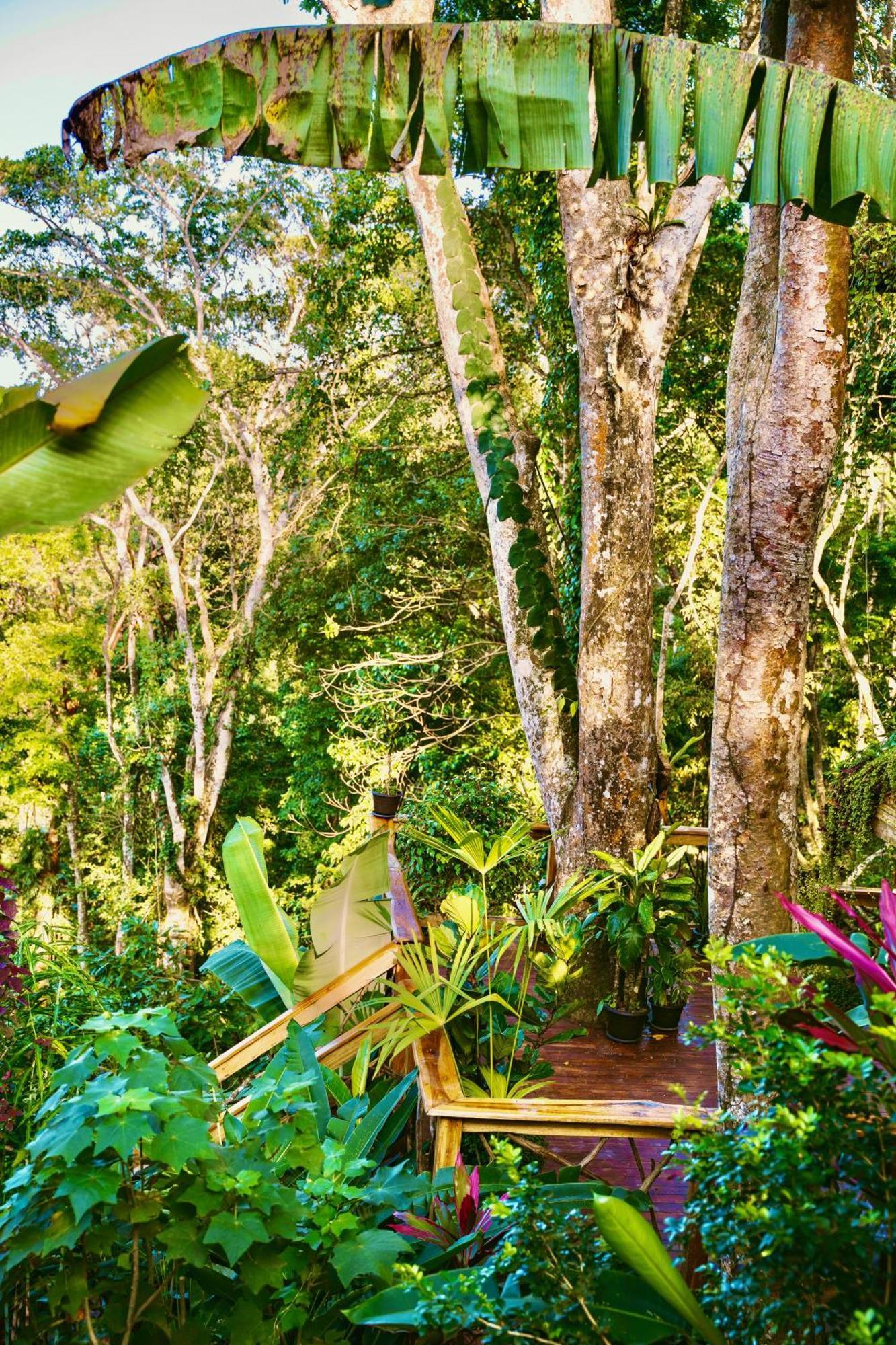 Вилла Jungle Spirit Treehouse Кауита Экстерьер фото