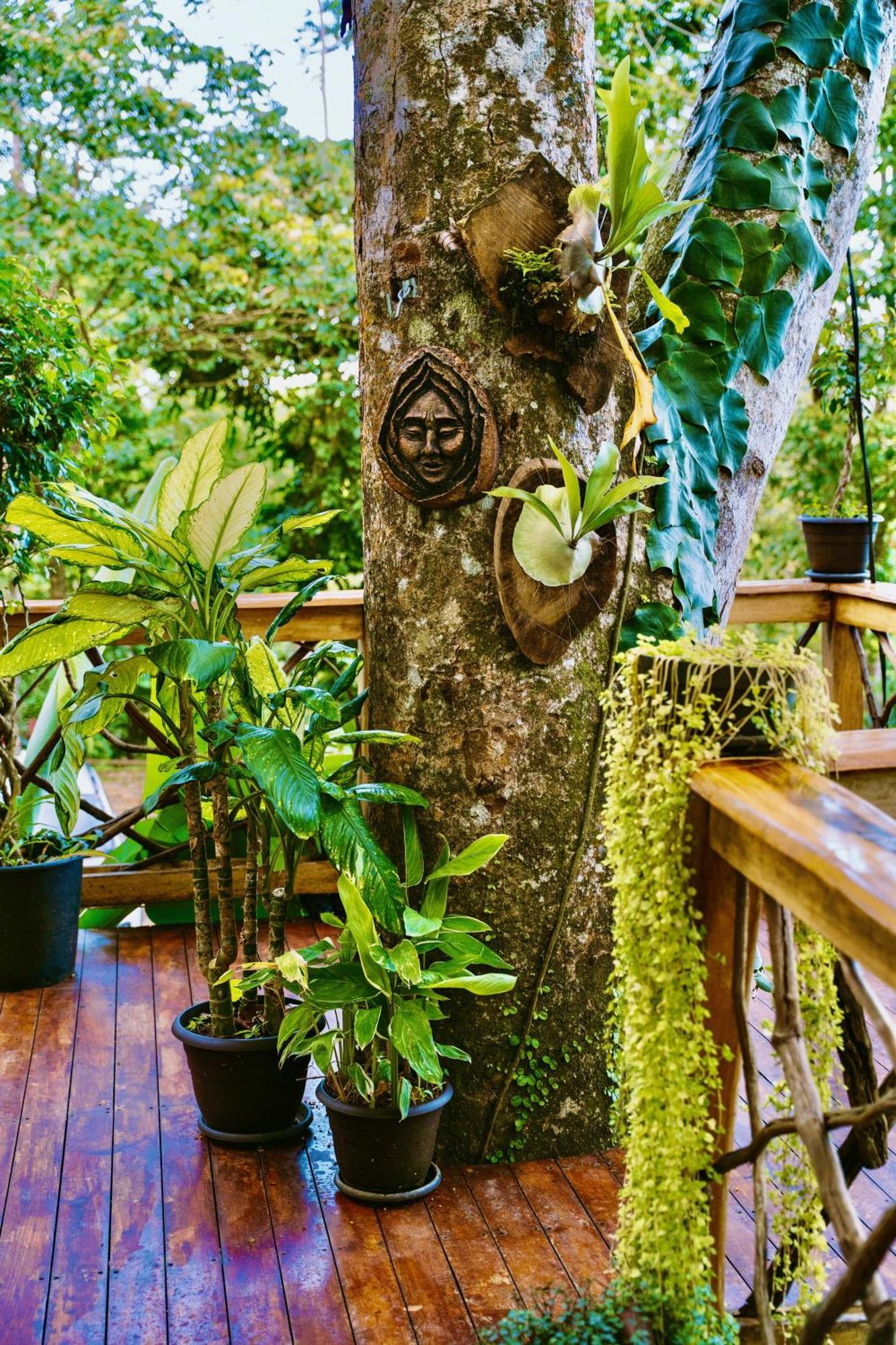 Вилла Jungle Spirit Treehouse Кауита Экстерьер фото