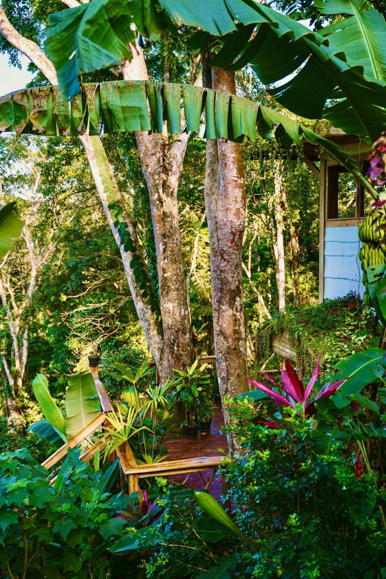 Вилла Jungle Spirit Treehouse Кауита Экстерьер фото